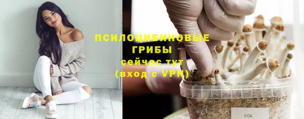молекула духа Михайловка