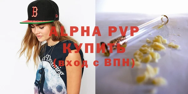 индика Михайлов