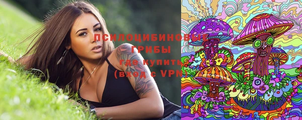 индика Михайлов