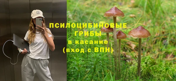 прущая мука Медвежьегорск