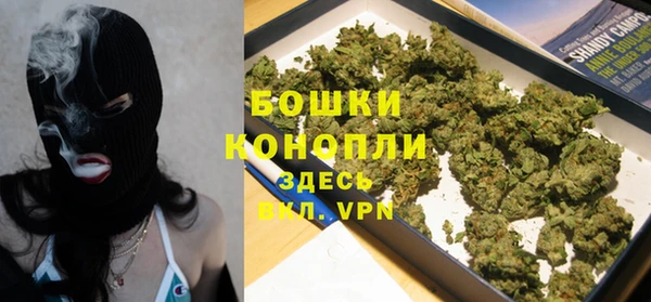 индика Михайлов