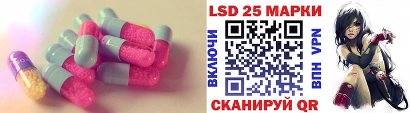 kraken как зайти  Чадан  ЛСД экстази кислота  как найти закладки 